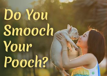 Granbury dentist, Dr. Buske at Granbury Dental Center, discusses bad bacteria that can be passed on by dog kisses. Don’t smooch your pooch!